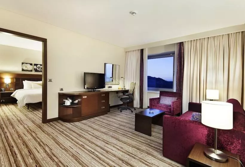 هتل Hilton Garden Inn Mardin