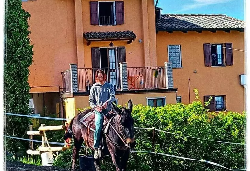 Bed And Breakfast Balli Coi Lupi