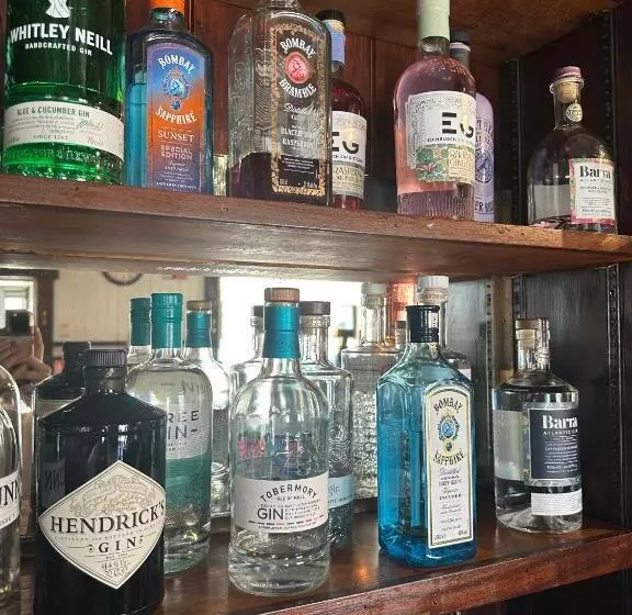 Hotelli Tigh An Truish Inn