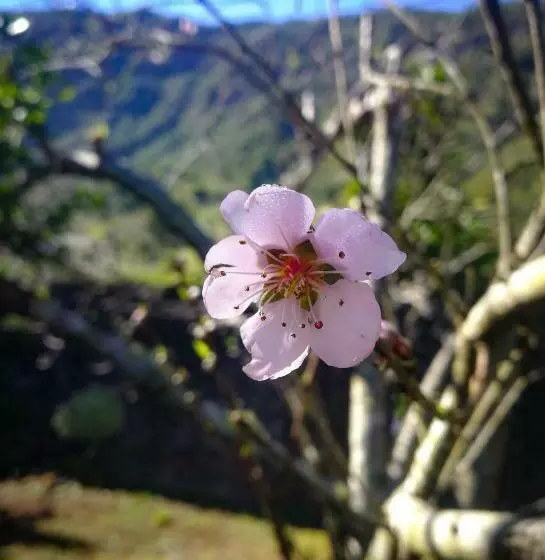 Majatalo Gite Etape Chez Paule Et Jo