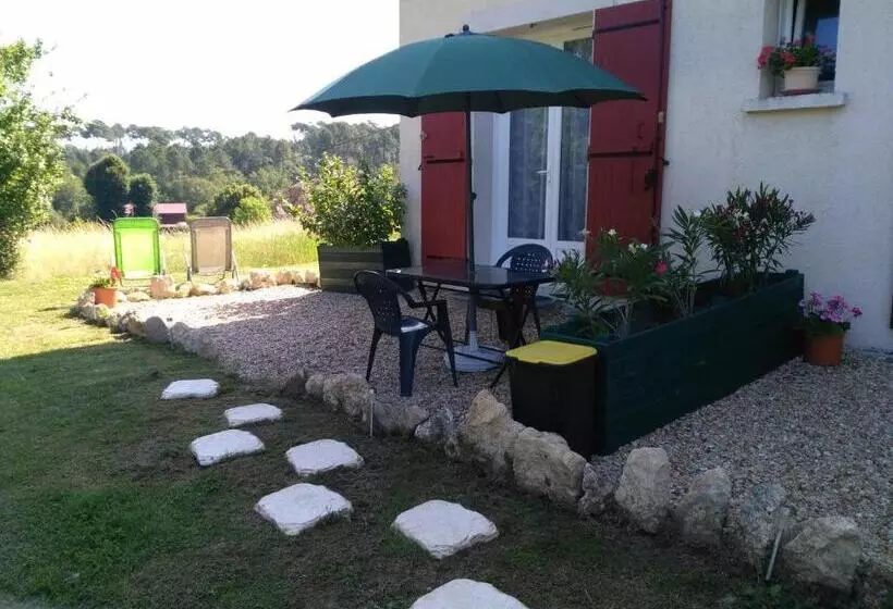 ペンション Les Chambres De Beauviel