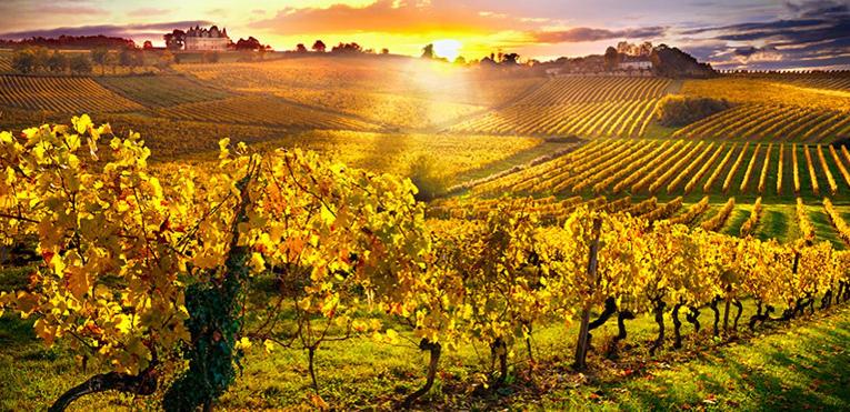 פנסיון Les Chambres De Beauviel