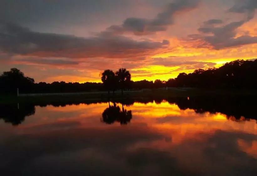 The Grand Oaks Resort