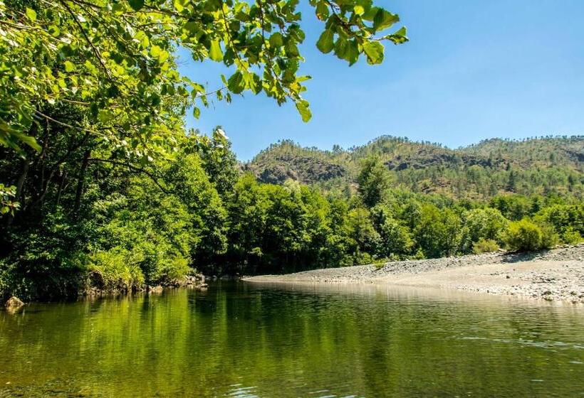 B&b Il Glicine Molare