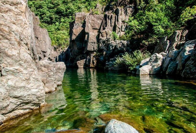 B&b Il Glicine Molare