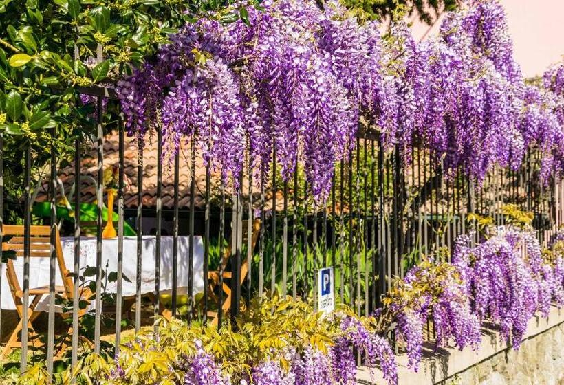 B&b Il Glicine Molare