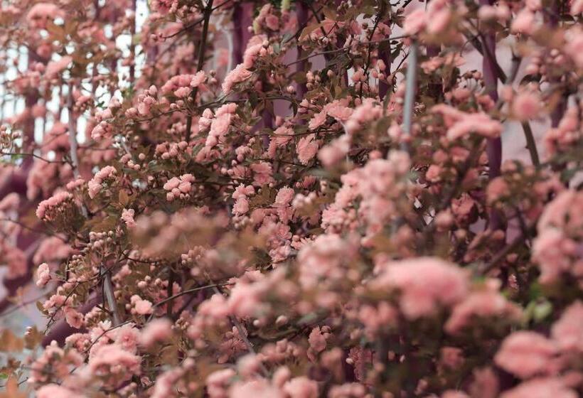 פנסיון Agri Resort Masusa