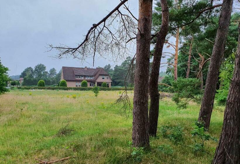 Bed and Breakfast Renata Zimmer Frei Lathen