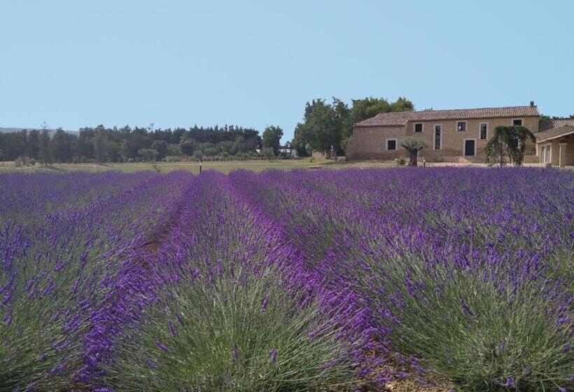 مبيت وإفطار Mas Des Fugueyrolles