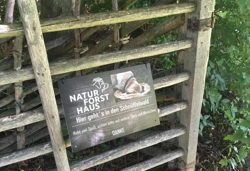 Aamiaismajoitus (B&B) Naturforsthaus Eddas Zimmer Für Hunde Und Naturverbundene Menschen