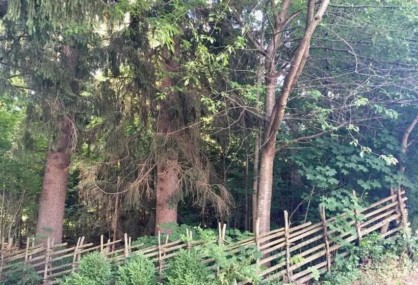 Aamiaismajoitus (B&B) Naturforsthaus Eddas Zimmer Für Hunde Und Naturverbundene Menschen