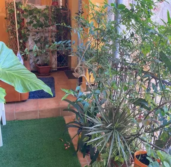 ペンション Casal Banco De Felanitx,habitaciones Privadas