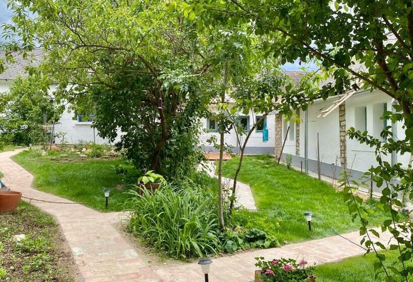 Пансион Káli Kerted Vendégházak Karolin Néni Háza