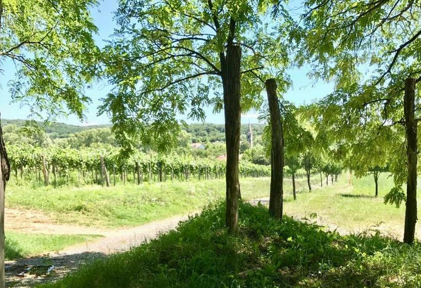 Пансион Káli Kerted Vendégházak Karolin Néni Háza