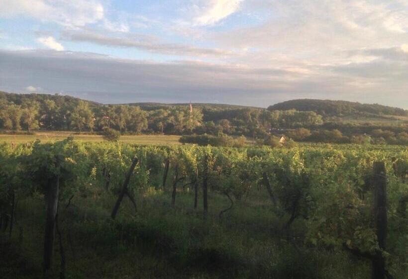 Пансион Káli Kerted Vendégházak Karolin Néni Háza