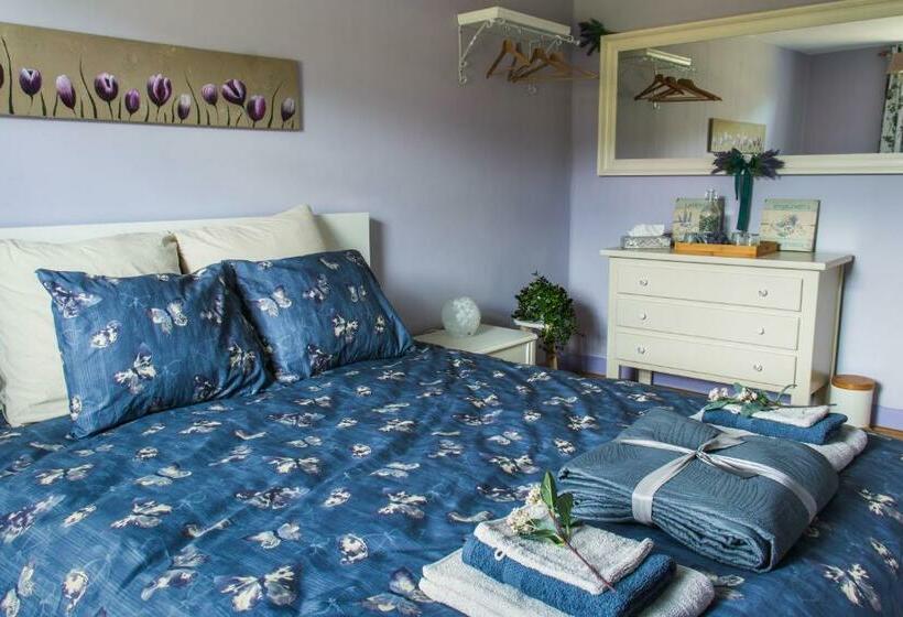 Wings Creek Ranch B&b