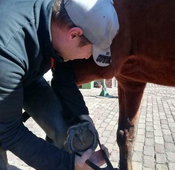 Wings Creek Ranch B&b