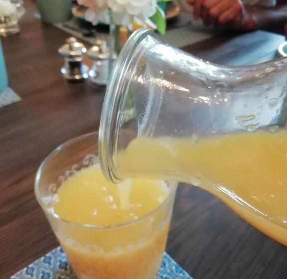 Wings Creek Ranch B&b