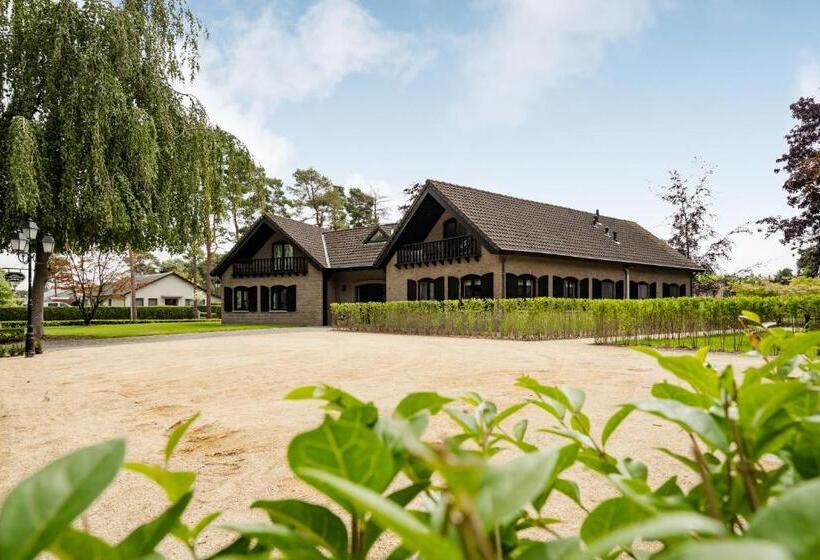 צימר T Wilgenhuys