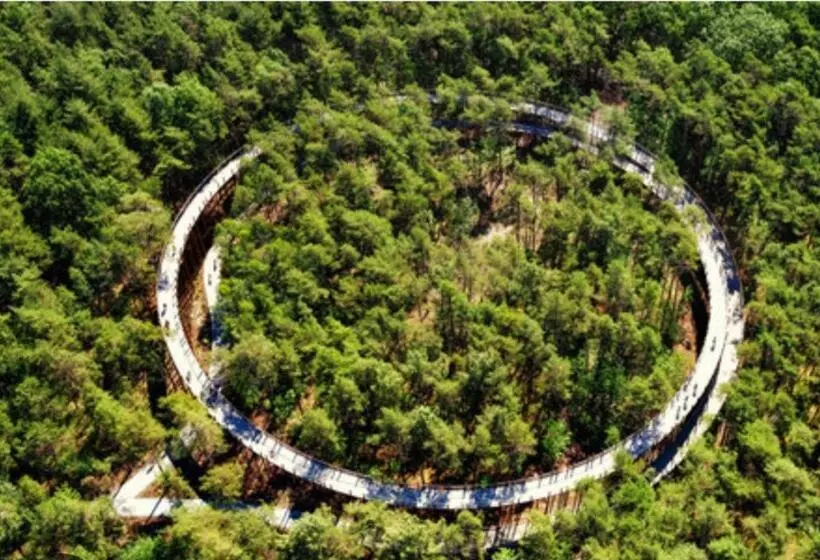 ベッドアンドブレックファースト T Wilgenhuys