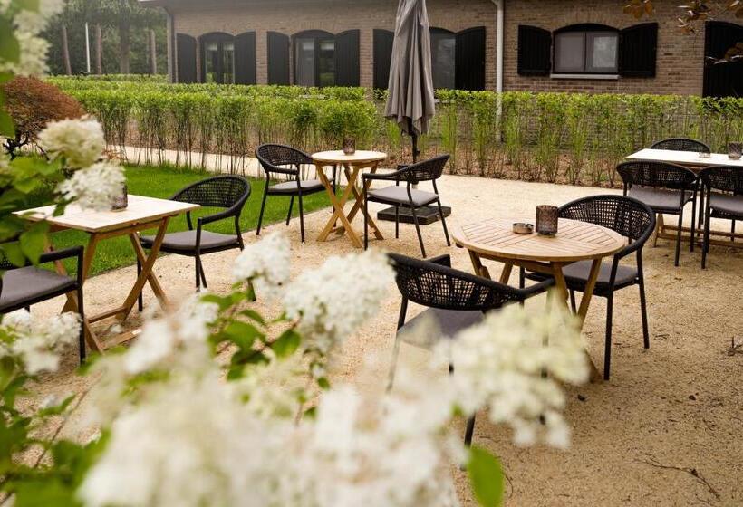 צימר T Wilgenhuys