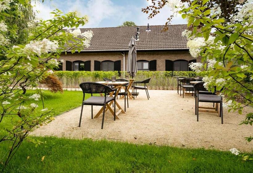 צימר T Wilgenhuys