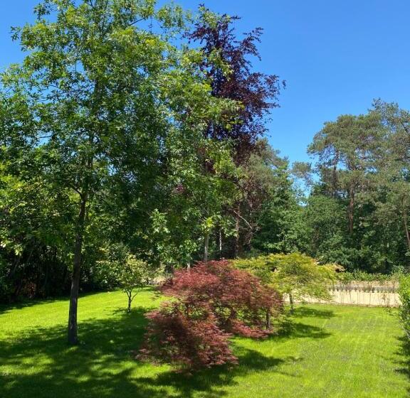 צימר T Wilgenhuys