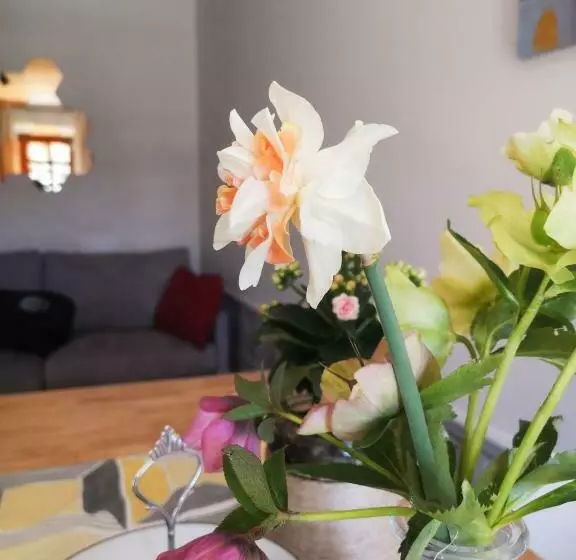 Aamiaismajoitus (B&B) Antico Pozzo