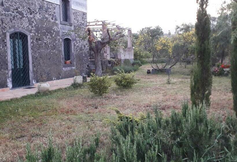 住宿加早餐 Contrada Zerbate