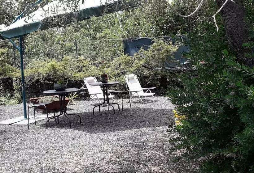 Aamiaismajoitus (B&B) Contrada Zerbate