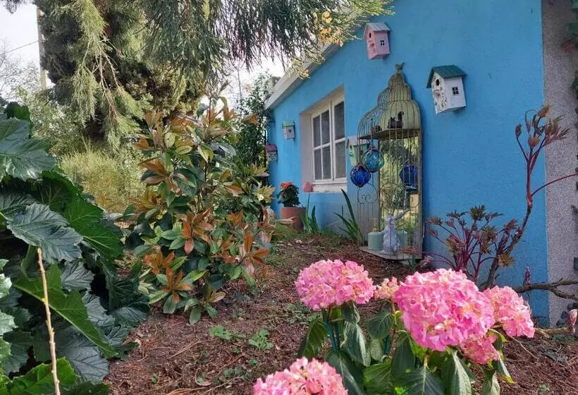 Aamiaismajoitus (B&B) La Maucannière