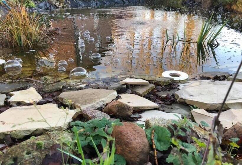 酒店 Bequemschlafen