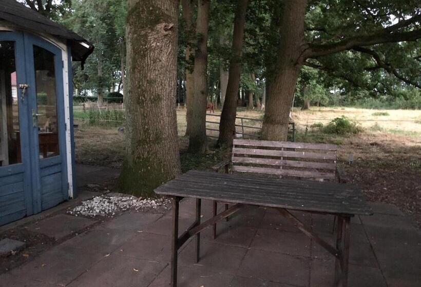 酒店 Bequemschlafen