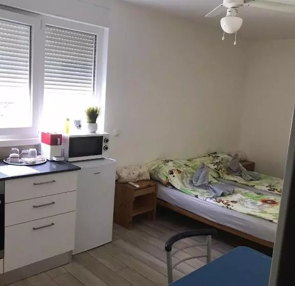 ペンション Bellinzona Rooms