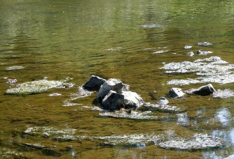 ベッドアンドブレックファースト Anno 1772