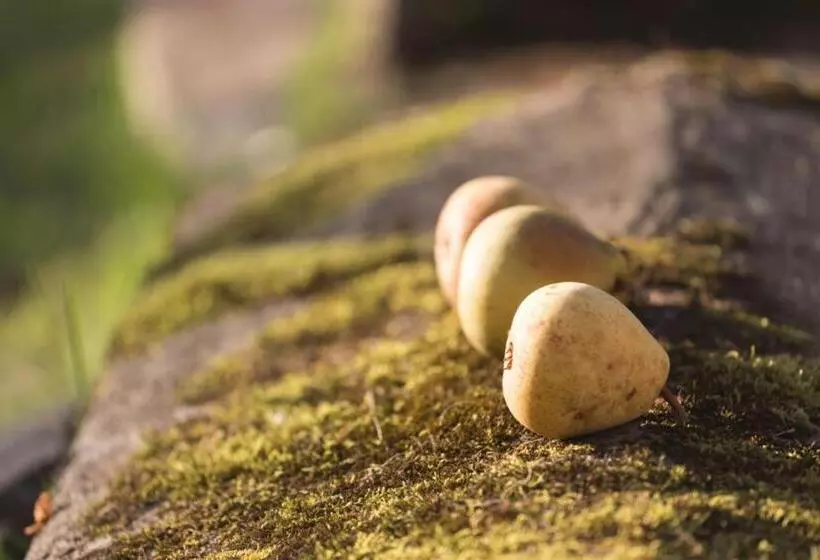 ベッドアンドブレックファースト Anno 1772