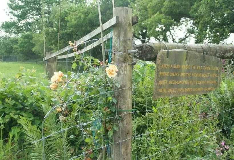 ベッドアンドブレックファースト The Old Deer House