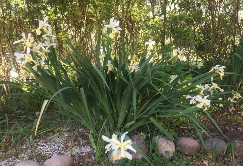 Green B&b Urbino Cá Del Vento