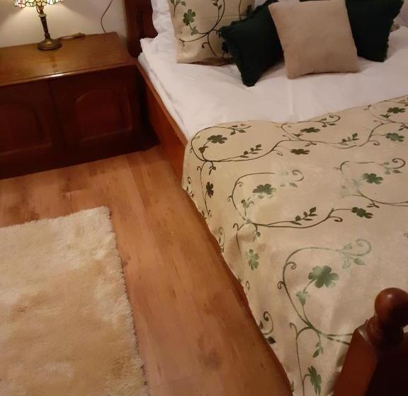 Pensiunea Casa Brancusi