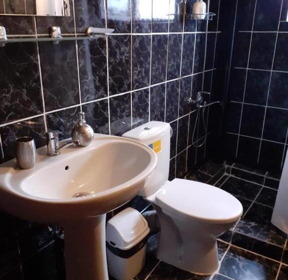 Pensiunea Casa Brancusi