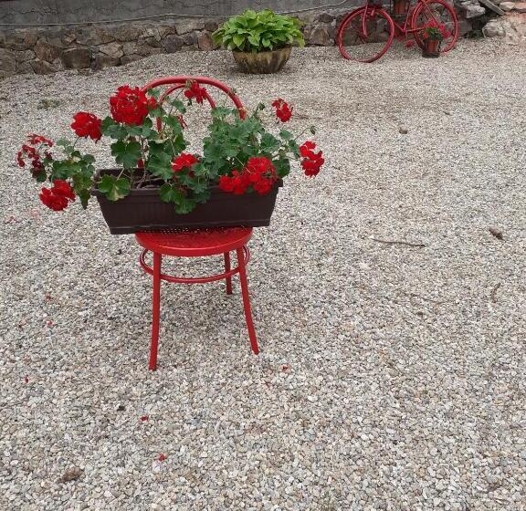 Pensiunea Casa Brancusi