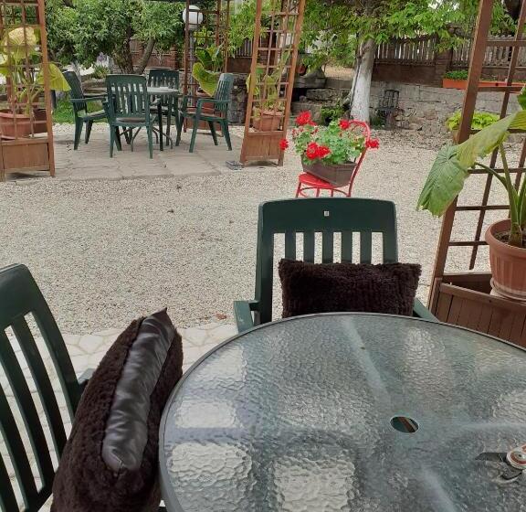 Pensiunea Casa Brancusi