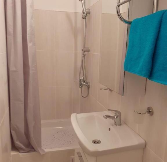 Pensiunea Casa Brancusi