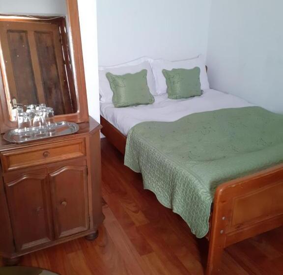 Pensiunea Casa Brancusi