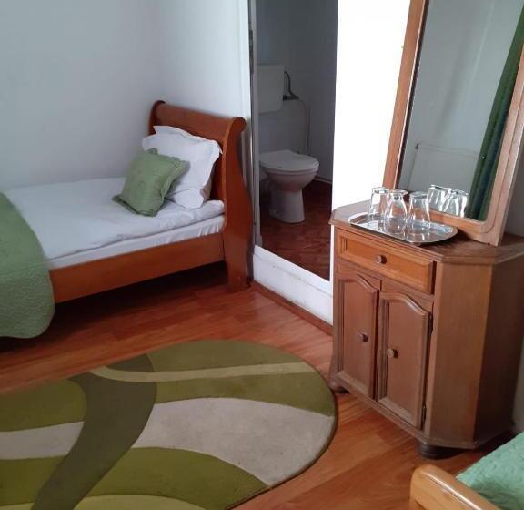 Pensiunea Casa Brancusi