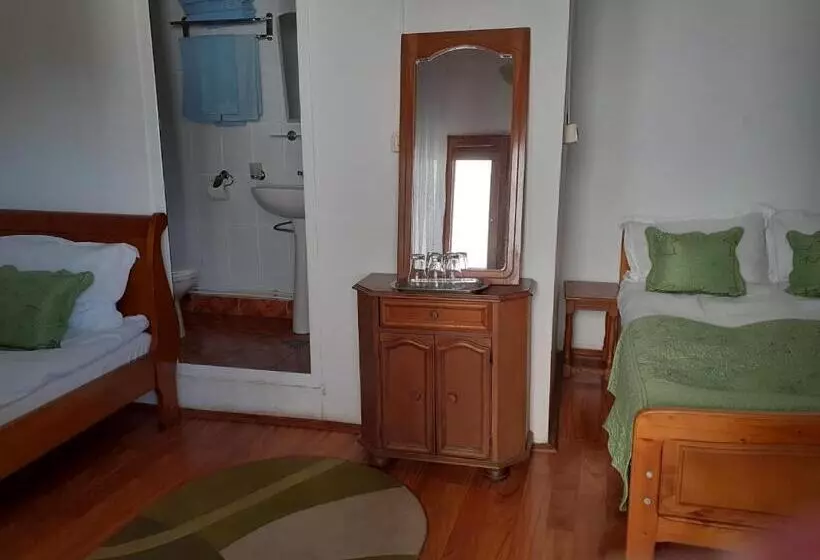 Pensiunea Casa Brancusi