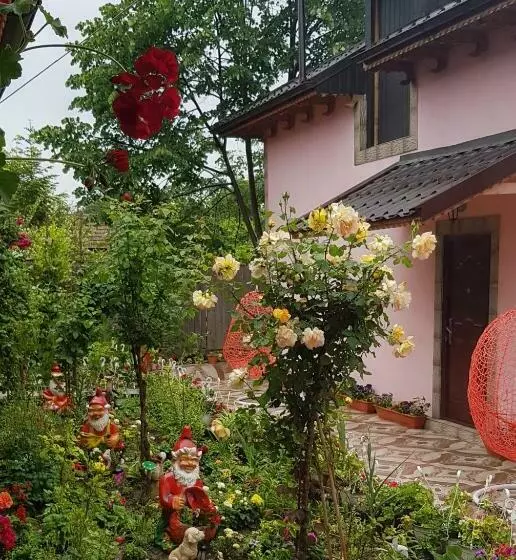 Pensiunea Happy Flowers