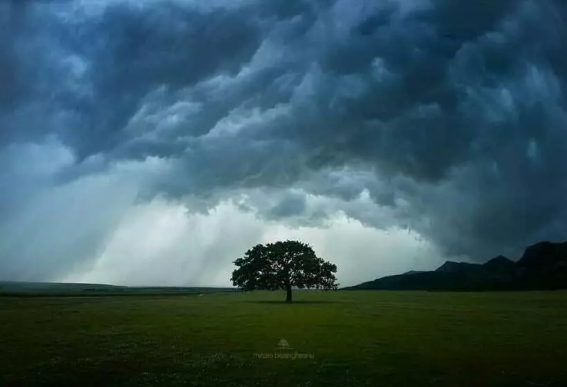 Pensiunea Happy Flowers