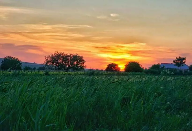 Pensiunea Happy Flowers