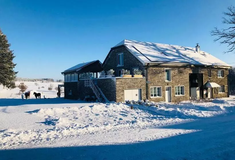 B&b Pegasus Ii   Chambre De Luxe Avec Sauna Privatif